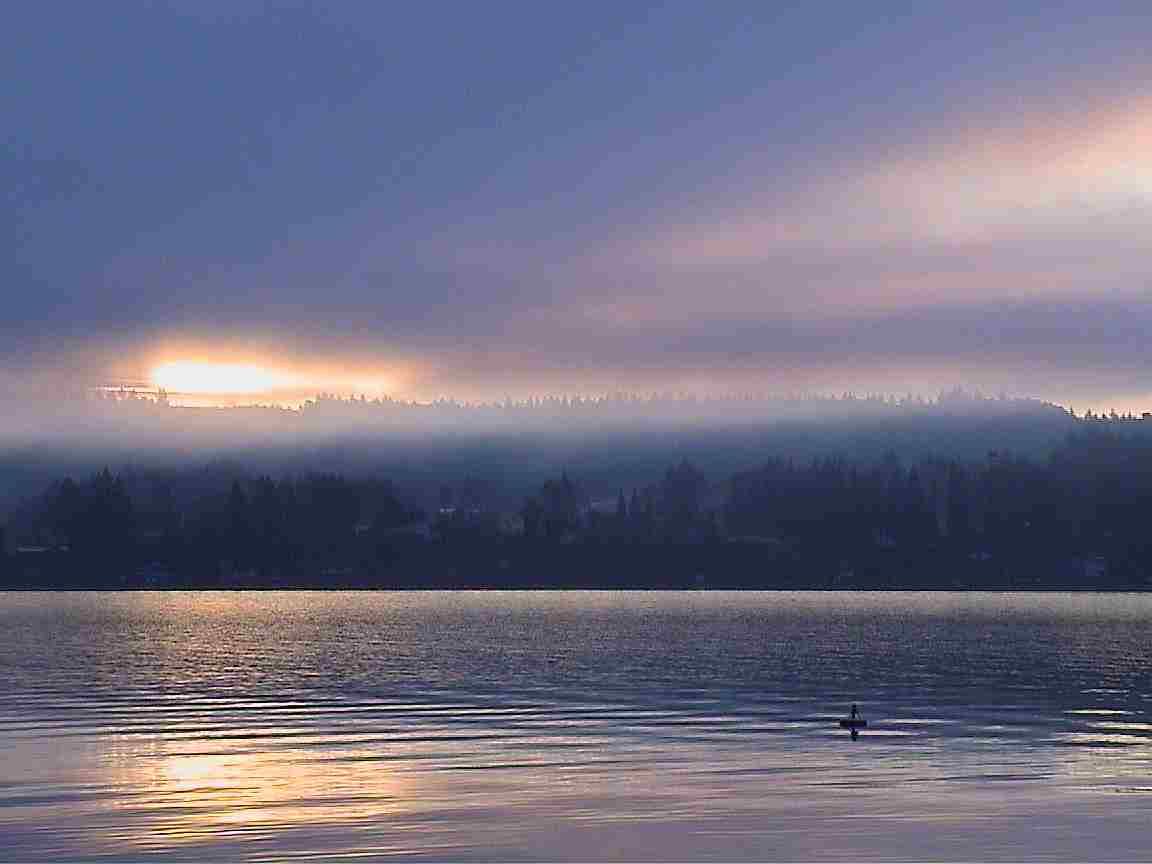 Here and Now: Vashon-Maury Island DVD