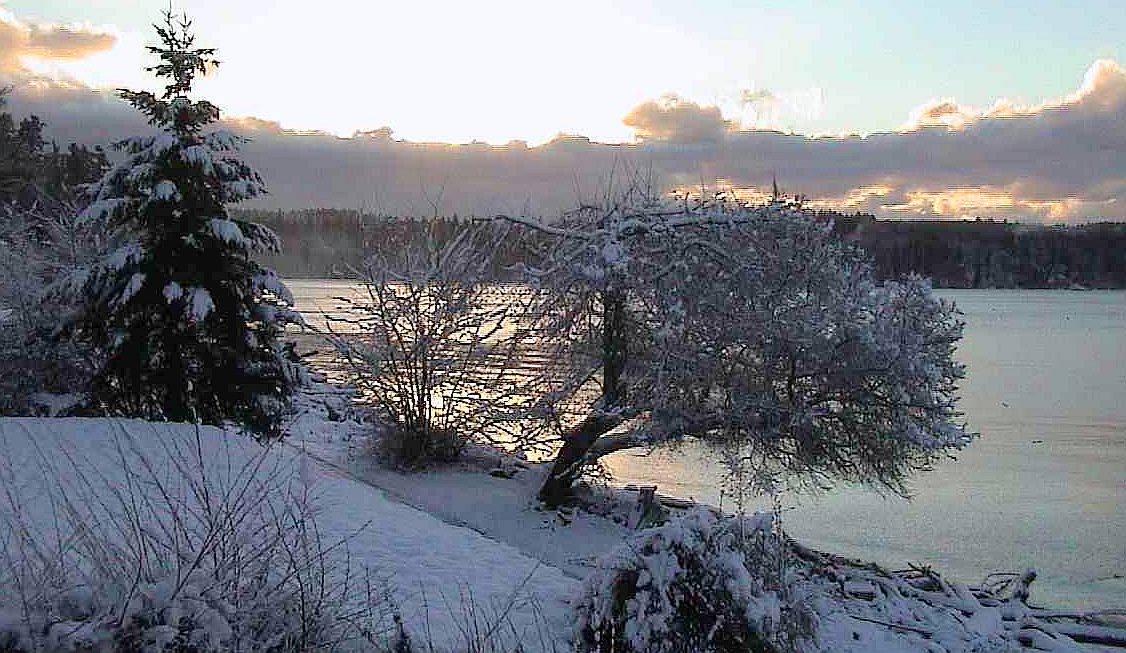 Vashon Island Ice Storm - Photo #3